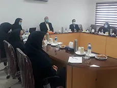 جلسه هم اندیشی آموزشی با شرکت های توزیع برق و آب منطقه ای گیلان